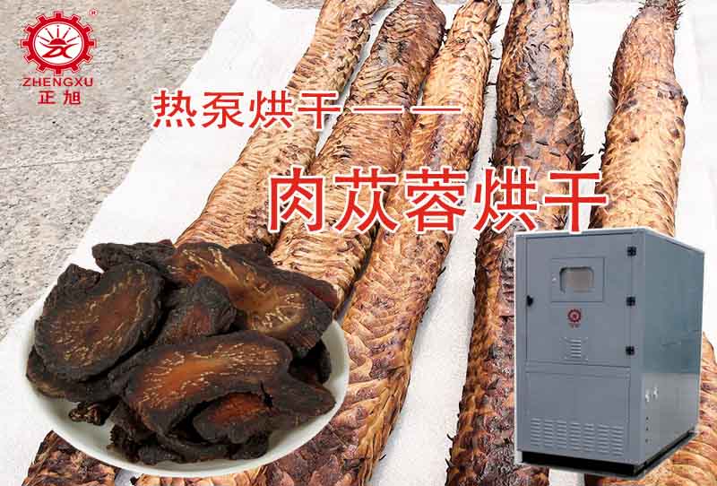 正旭肉蓯蓉?zé)岜煤娓晒に嚕ê娓蓽囟?、時(shí)間）