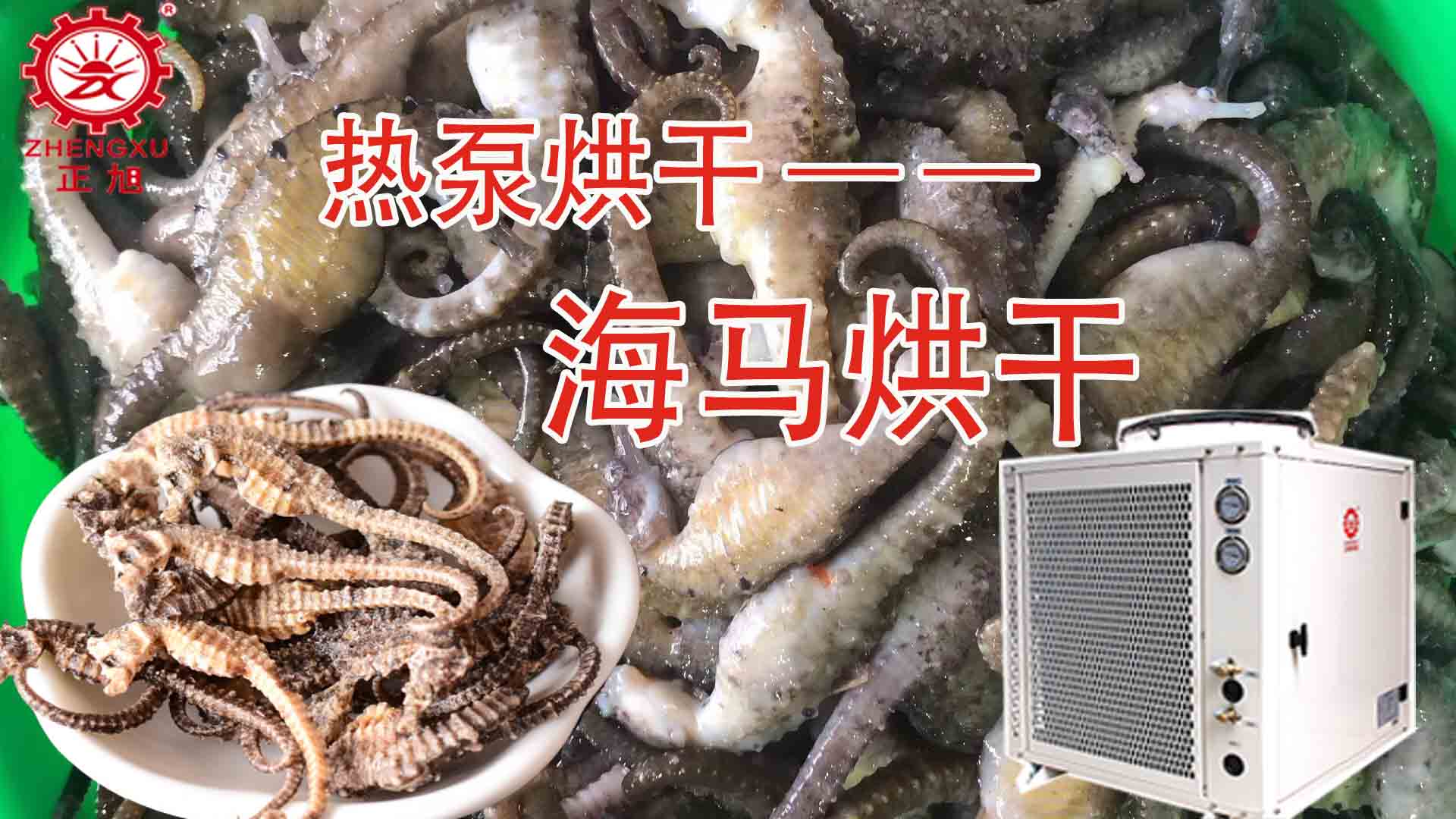 海馬熱泵烘干方法詳解（含研粉、清洗、宰殺、烘干時(shí)間）